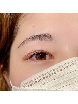 ハオルチア(Haworthia)/ブラウンエクステ120本