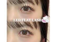 アユミ アイラッシュ サロン プロ ドレ(Ayumi.)/LEDフラットラッシュ120本下エク