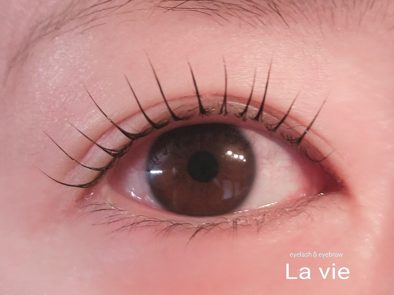 ラヴィ(La vie)｜ホットペッパービューティー