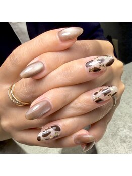 【前田担当】定額ミディアム