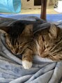 ディバイン ネイルズ(DIVINE NAILS)&nbsp;ねこちゃんが癒しです^_^