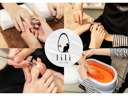 リリ(lili)の写真