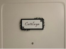 カトレア(Cattleya)/２０２号