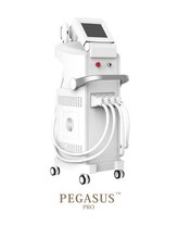 ラン(Ran)/ペガサスプロ