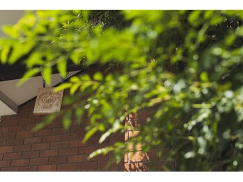 モンド(mondo)/こんなところに、、mondo