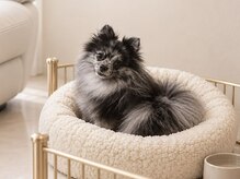 リュール 白金台(Lueur)の雰囲気（【ワンちゃんのいるサロン】小さな看板犬とお待ちしております♪）