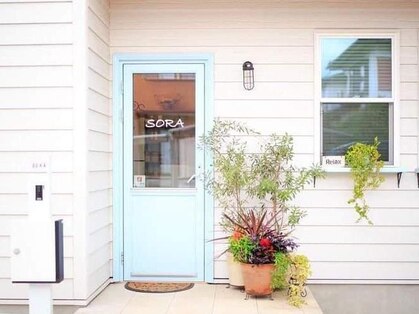 ソラ(SORA)の写真