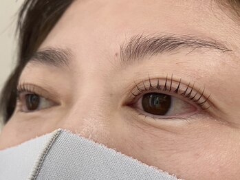 ウルカ アイラッシュ(uruka EYELASH)/ラッシュリフト