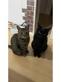 アイム 甲府店(i'm)&nbsp;実家の猫様が可愛すぎて毎日写真を拝みます！
