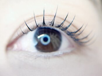 サーリアイラッシュ(Saari eyelash)の写真/≪まつパのみトリートメント付≫洗練された高い技術と高品質な商材で、納得の仕上がりを実現いたします◎