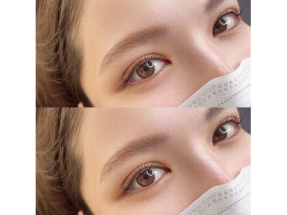 モーヴ(mauve)の写真