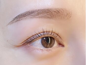 トレア(TREA)の写真/人気No1★選べるまつげパーマ×似合わせ眉Waxセットで上品な目元へ♪お得な学割＆クーポンも多数ご用意！