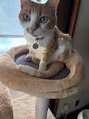 結(Yui) 猫が好き★