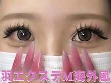 まつげエクステ専門店 クレイン(CRANE)/羽エクステ M 海外風