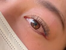 ラピスガーデン(LAPIS GARDEN)/フラットラッシュ140本 鶴見