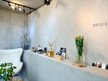 ビューティーデイ バイ オーキッド(BEAUTY DAY by ORCHID)/《脱毛・毛穴・小顔》代々木上原