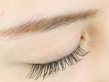 シャイニー 南堀江(SHINY)/ LEDフラットラッシュ/マツエク