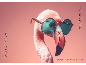 ソレイユ 神楽坂(Soleil)の写真/OX脚は『骨盤・股関節・ひざ・足首』4点施術をしなくっちゃ！カイロプラクティックにしかできない骨格矯正