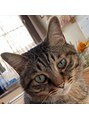 エステティックサロン ドゥネール&nbsp;4匹猫と住んでます。