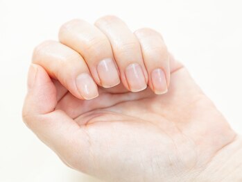 ベラドンナ(Bella Donna)