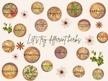 サロン ド ミレイ(salon de mirei)の雰囲気(120のハーブと10年間の人気メニュー(75種)からお作りします!)