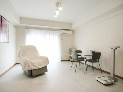 アロエ(aloe)の写真