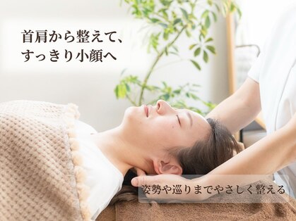 キッカ(kikka)の写真