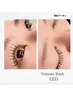 【NEW！】通常☆ボリュームラッシュ100束＆LEDエクステ　¥8950