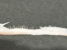 リベルキョウト 京都駅前店(Liber Kyoto)/フェイスワックス脱毛