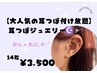 大人気の耳つぼジュエリー付け放題♪(14粒) ¥3,500