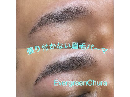 エバーグリーン チュラ(Evergreen)の写真
