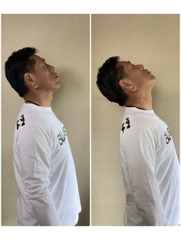 サリエ(Salier)/首の角度