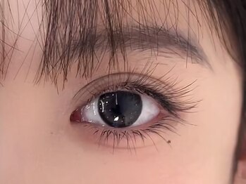 AMK/カラーフラットラッシュ