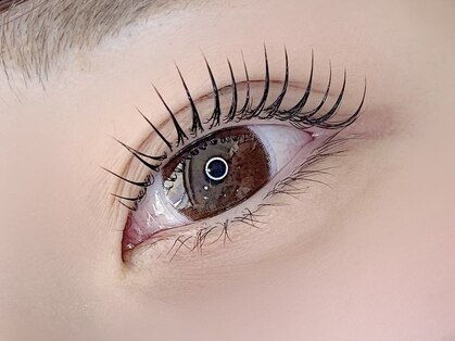 ロンド(Rond)の写真