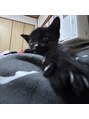 イベル 京橋店(ibelu)&nbsp;こういうの大好きです