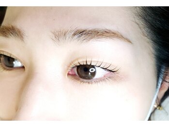 プリモ(PRIMO)/【ラッシュリフト】