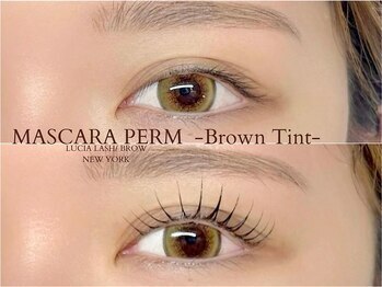 ルシアラッシュブロウ 銀座(LUCIA LASH BROW)/