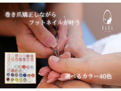 リリ(lili)の写真