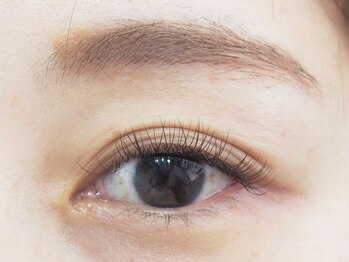 イロ 駒込店(iro)/カーキ×ダーク×ワインレッド