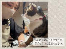 ネイルズ モダ(NAIL'S MODA)の雰囲気（看板猫にも癒されて下さい★※時々お休み）