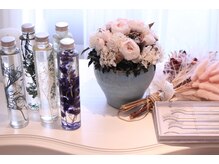 テディプラス(Teddy+)/店内の様子