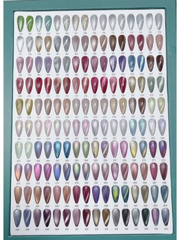 アイナアイナ(AINA AINA)/マグネットカラーサンプル★