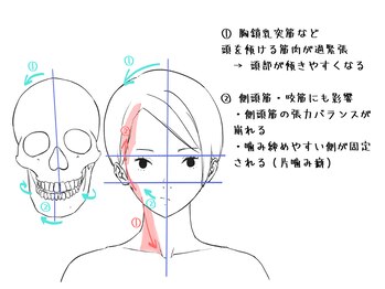 整体家 シン(Shin)/顔の歪みは首から