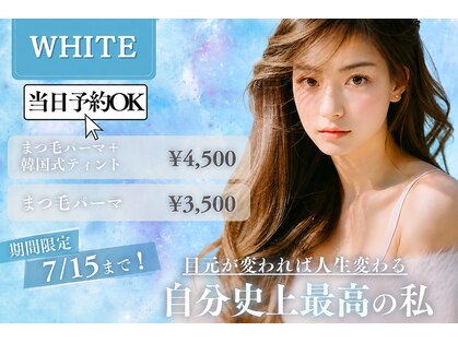 ホワイト(WHITE)の写真