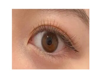 アーベン アイラッシュ(AERBEN..Eyelash)/U24★学割/フラット100本