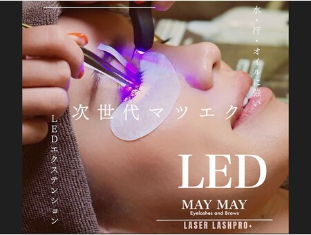 MAY MAY Eyelashes and Brows (メイメイ)