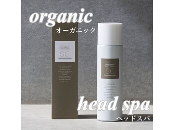 モア(MORE)/7月限定キャンペーン