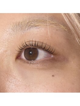 アイエルサラッシュ バイ ニコット(Eye ELSA lash by nicott)/まつ毛パーマ