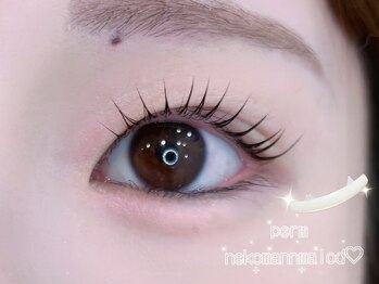 ナナリスボン 福岡(NANA LISBON)/ねこまんまロッド