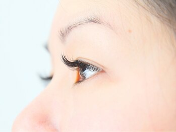 ジョリエスシルズ(Joliesse cils)/＊まつエク＊